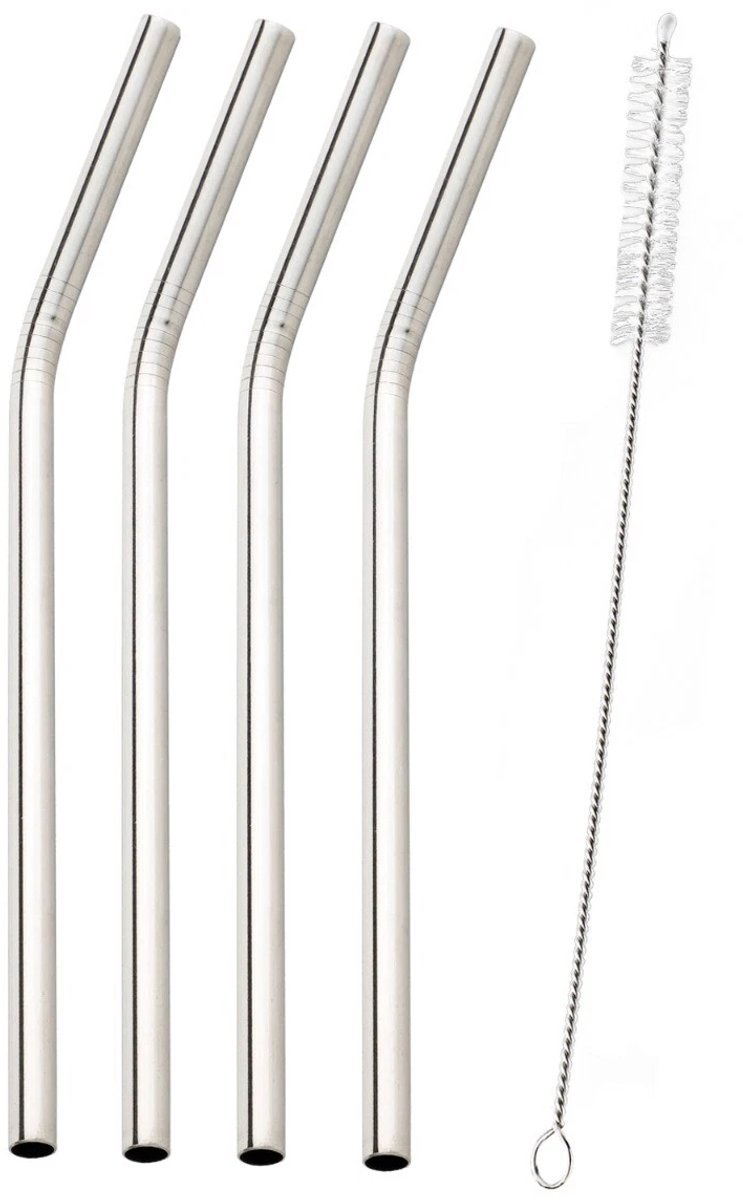 RVS Rietjes Set van 4 Rietjes 21 cm en 1 Schoonmaakborstel